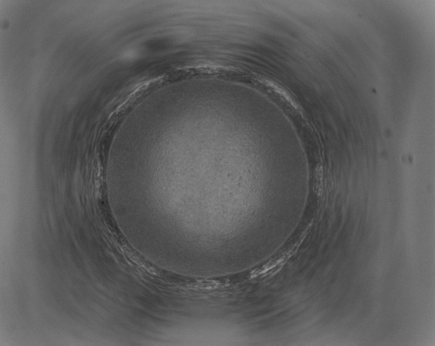 X0000084531111200703091621