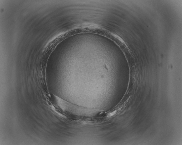 X0000084531112200703091621