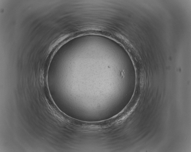 X0000084531113200703091621