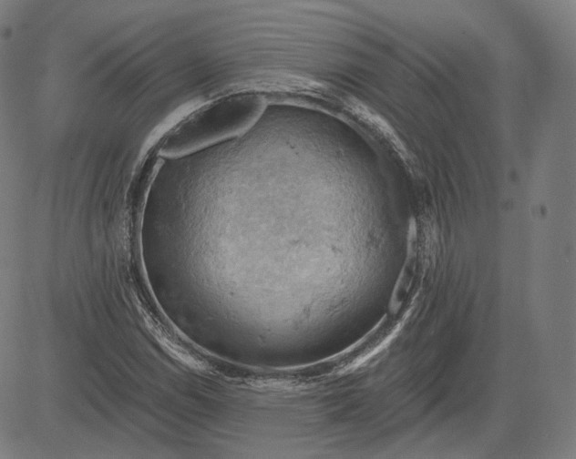 X0000084531114200703091621