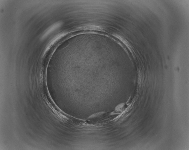 X0000084531115200703091621