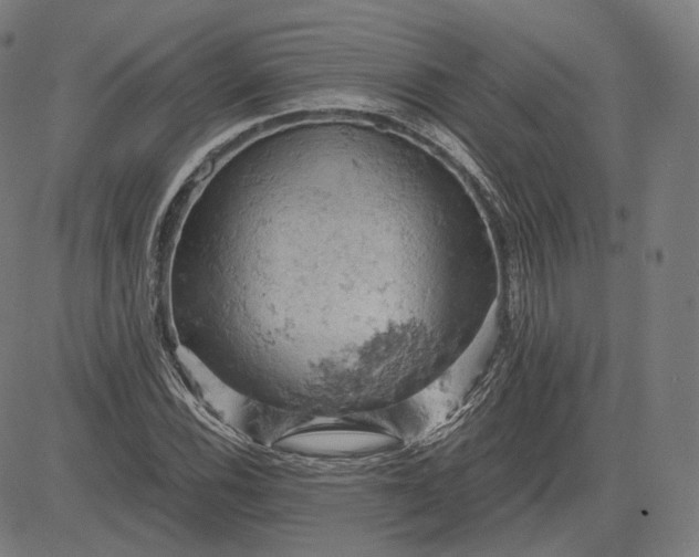 X0000084531116200703091621