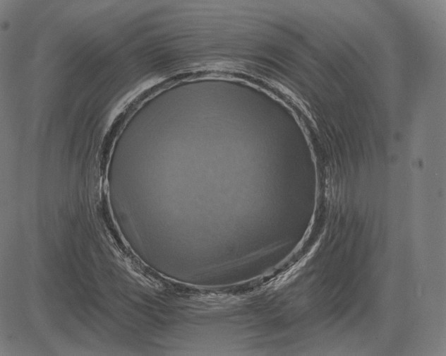 X0000084531117200703091621