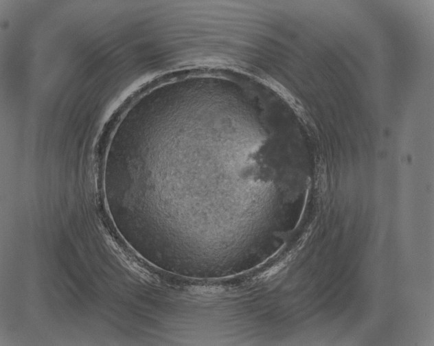 X0000084531118200703091621