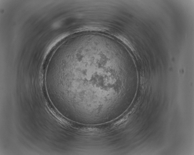 X0000084531119200703091621