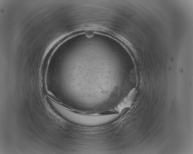 X0000084531120200703091621