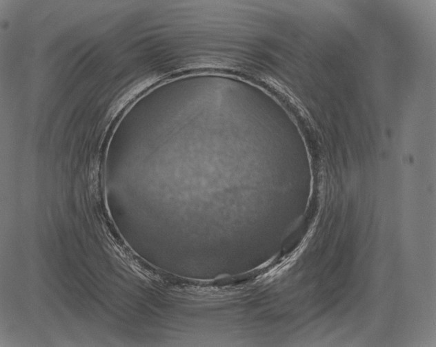 X0000084531121200703091621