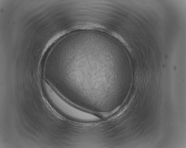 X0000084531122200703091621