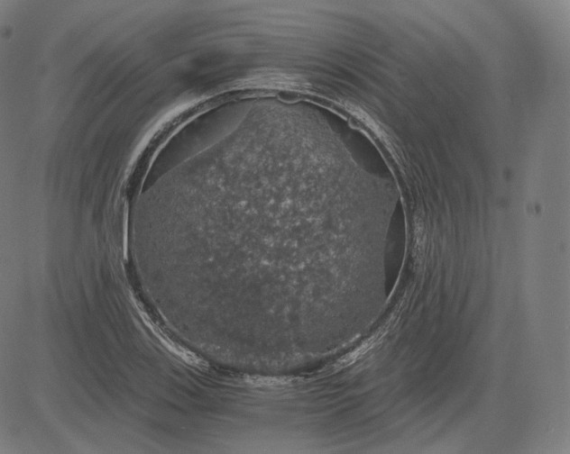 X0000084531123200703091621