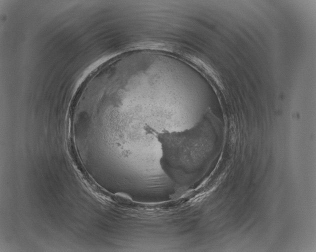 X0000084531125200703091621