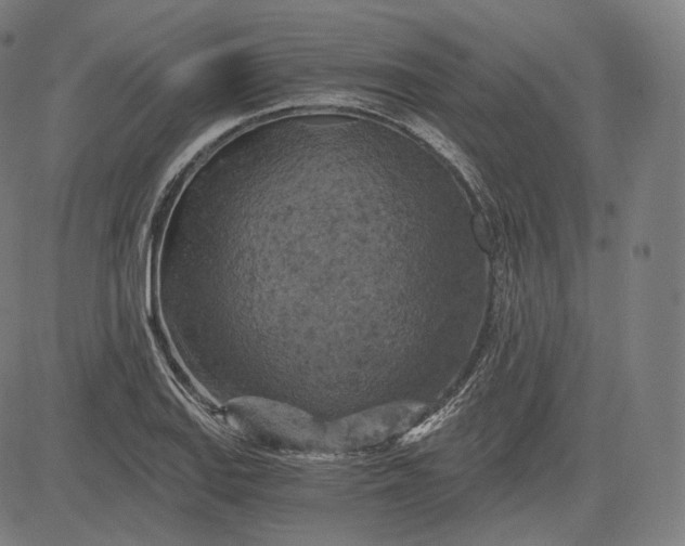 X0000084531127200703091621