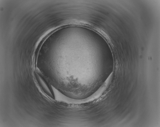 X0000084531128200703091621