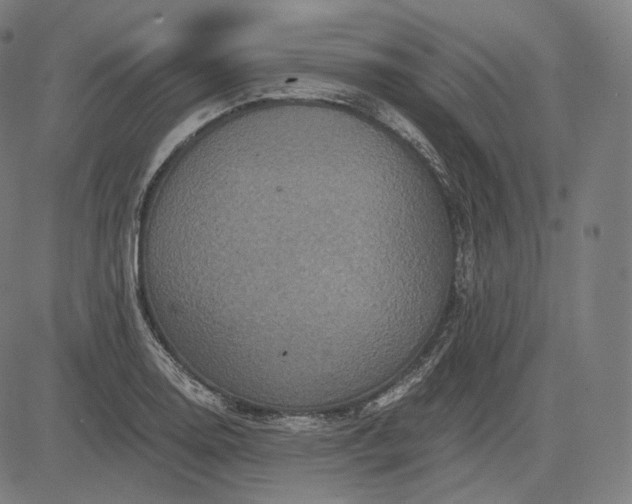 X0000084531130200703091621