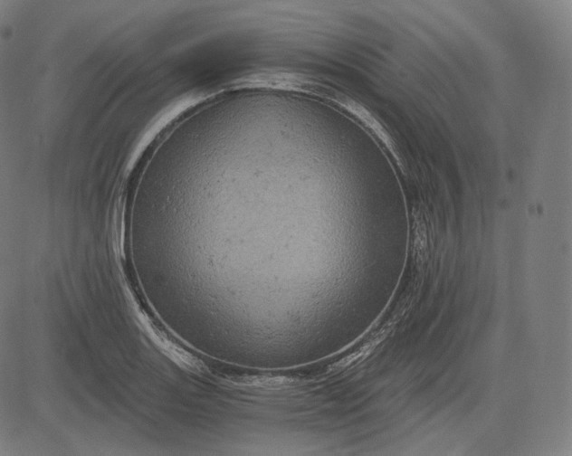 X0000084531131200703091621