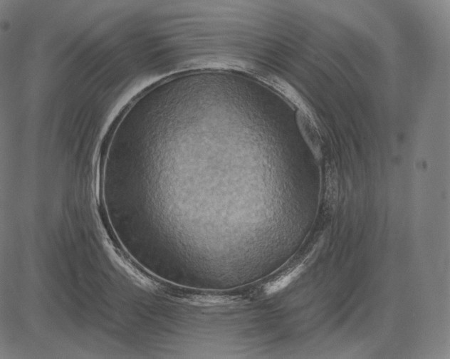 X0000084531132200703091621