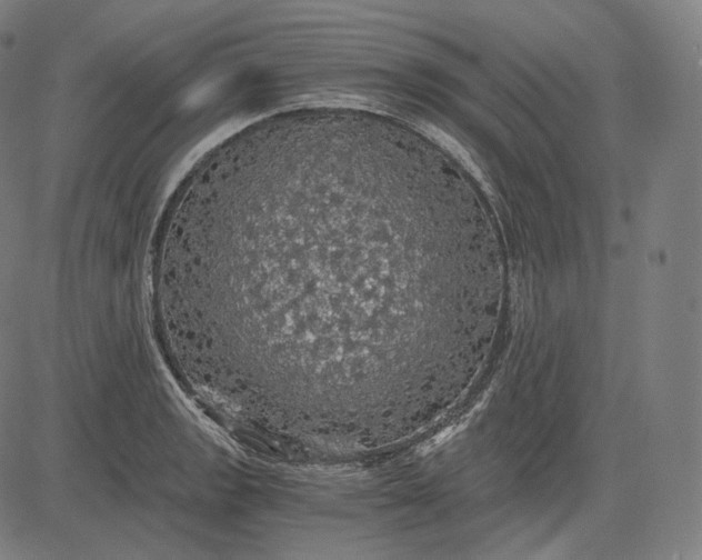 X0000084531133200703091621