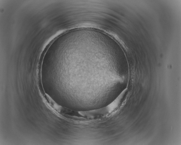 X0000084531134200703091621