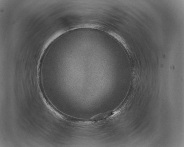 X0000084531135200703091621