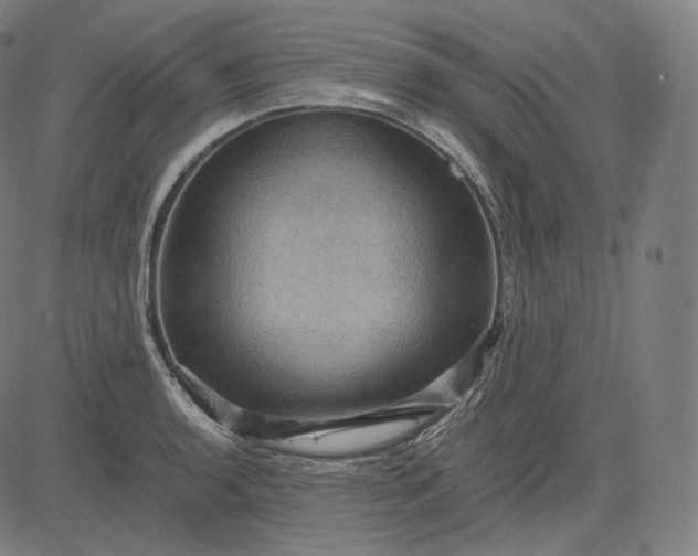 X0000084531136200703091621