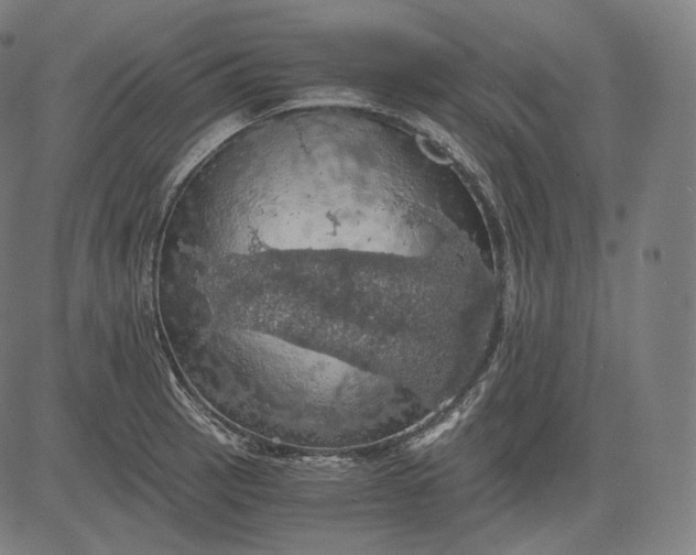 X0000084531137200703091621