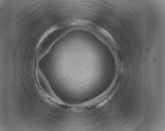 X0000084531138200703091621