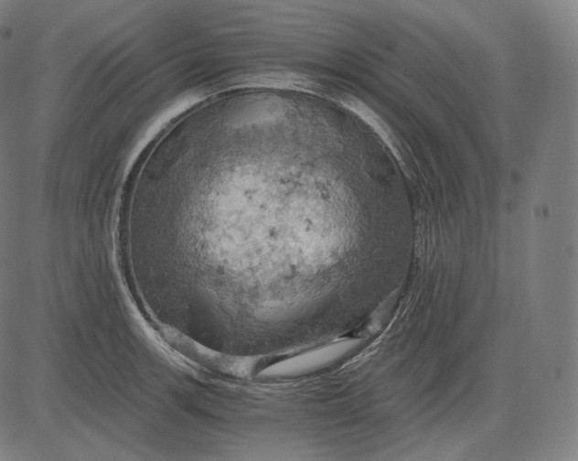 X0000084531139200703091621