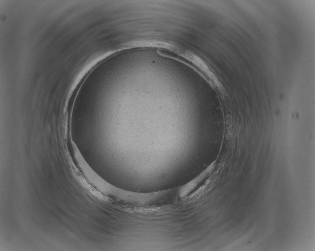 X0000084531140200703091621