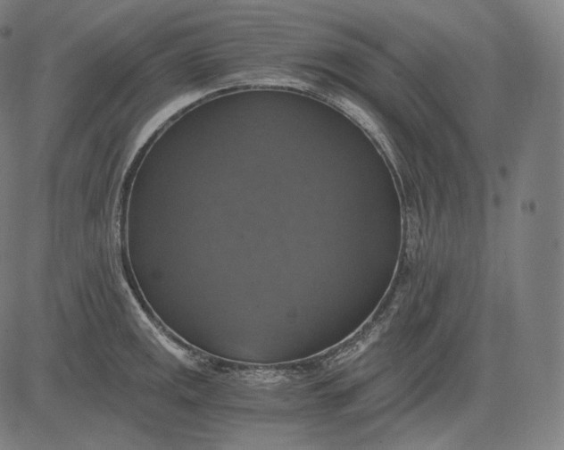 X0000084531141200703091621