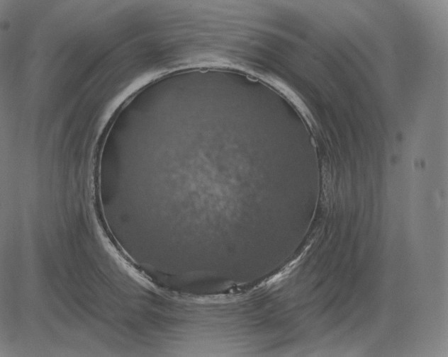 X0000084531142200703091621