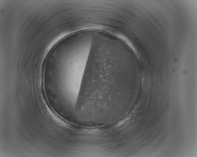 X0000084531143200703091621