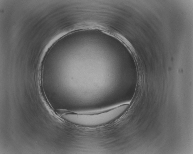 X0000084531144200703091621