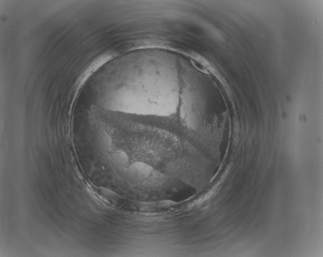 X0000084531145200703091621