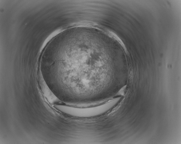 X0000084531146200703091621