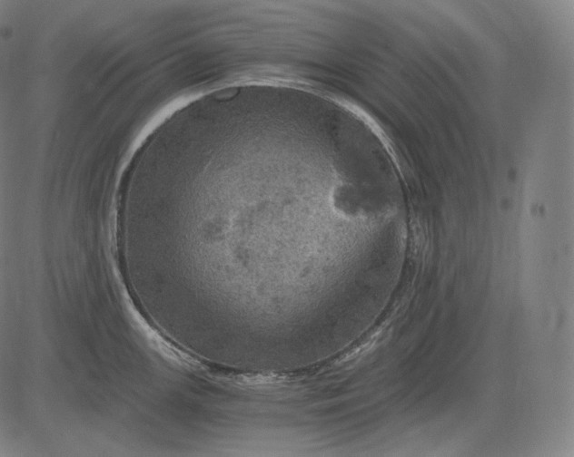 X0000084531147200703091621