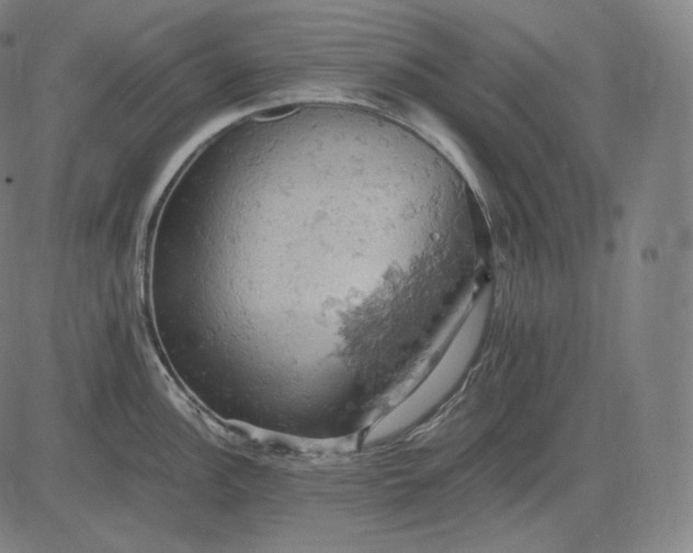 X0000084531148200703091621