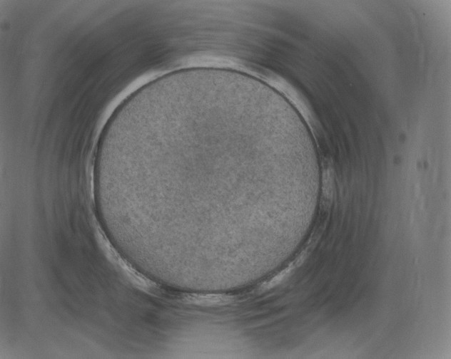 X0000084531150200703091621