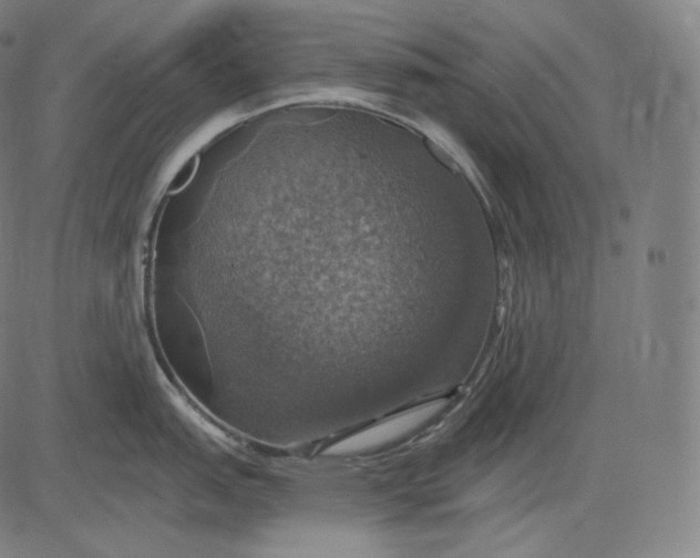 X0000084531151200703091621