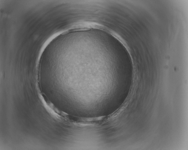 X0000084531152200703091621