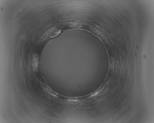 X0000084531154200703091621