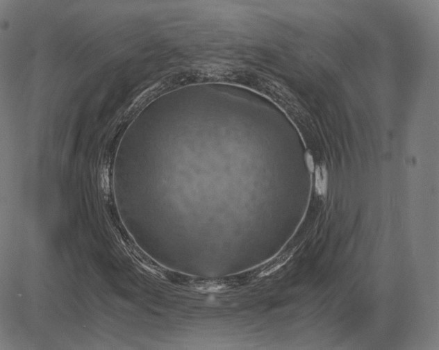 X0000084531155200703091620