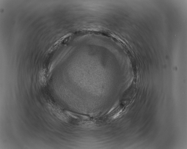 X0000084531156200703091620