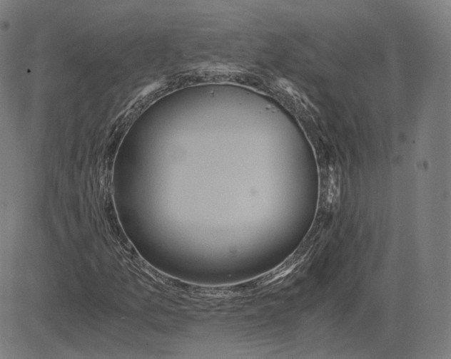 X0000084531157200703091620