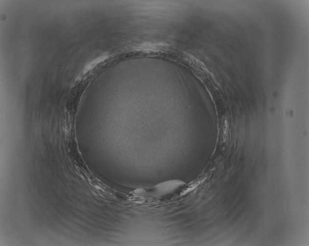 X0000084531158200703091620