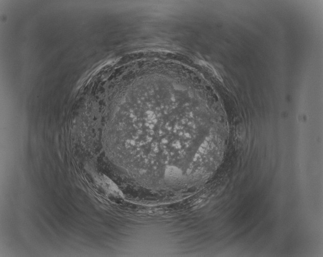 X0000084531159200703091620