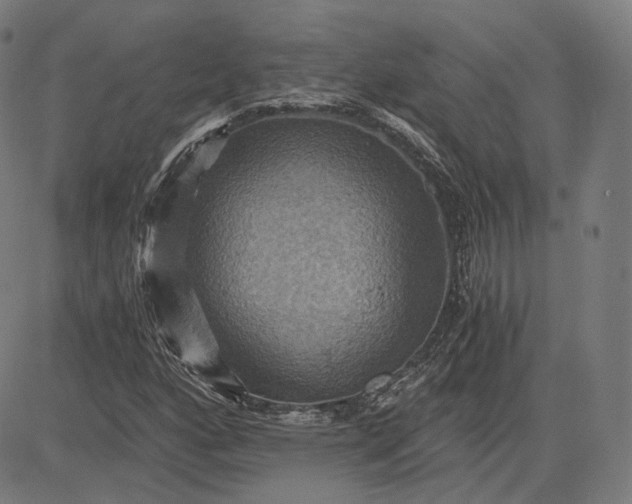 X0000084531160200703091620