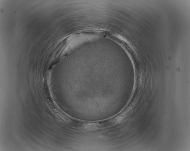 X0000084531161200703091620