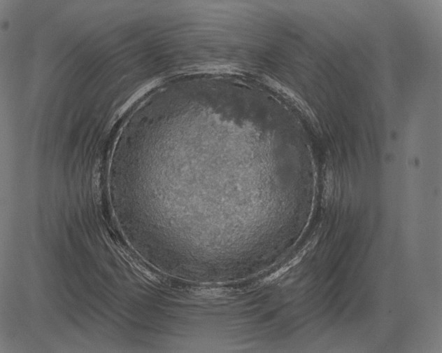 X0000084531162200703091620