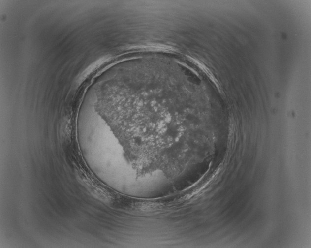 X0000084531163200703091620