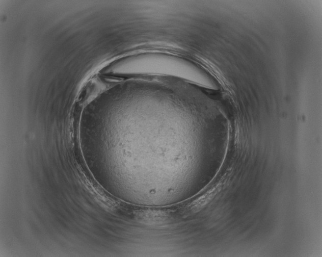 X0000084531164200703091620