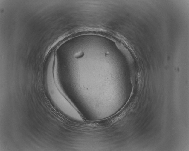 X0000084531165200703091620